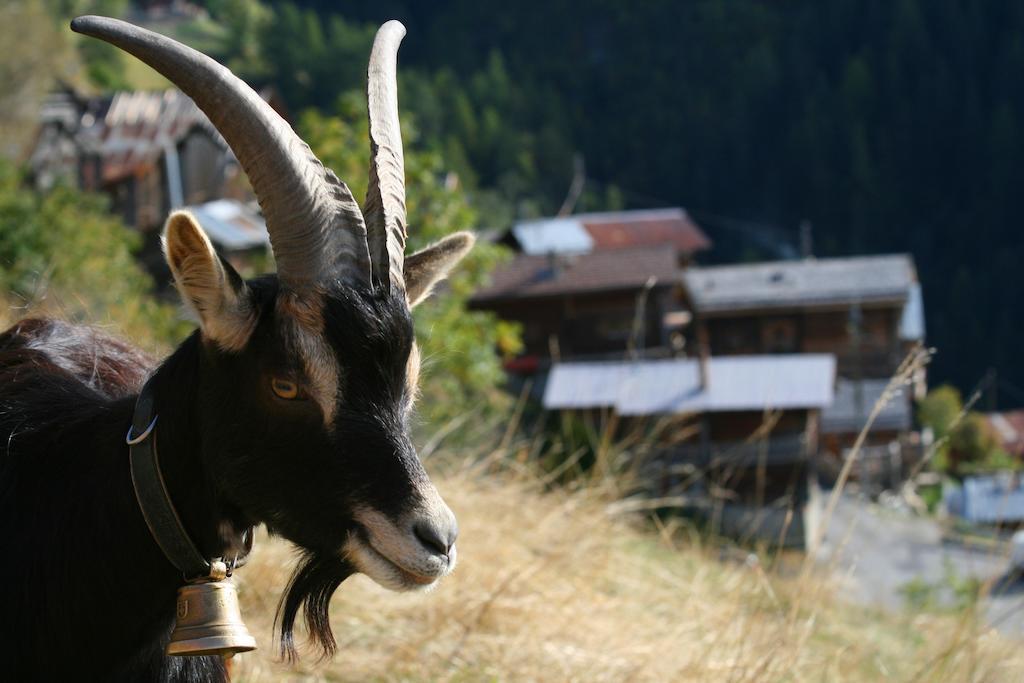 Gite L'Ermitage Villa Veysonnaz Kültér fotó